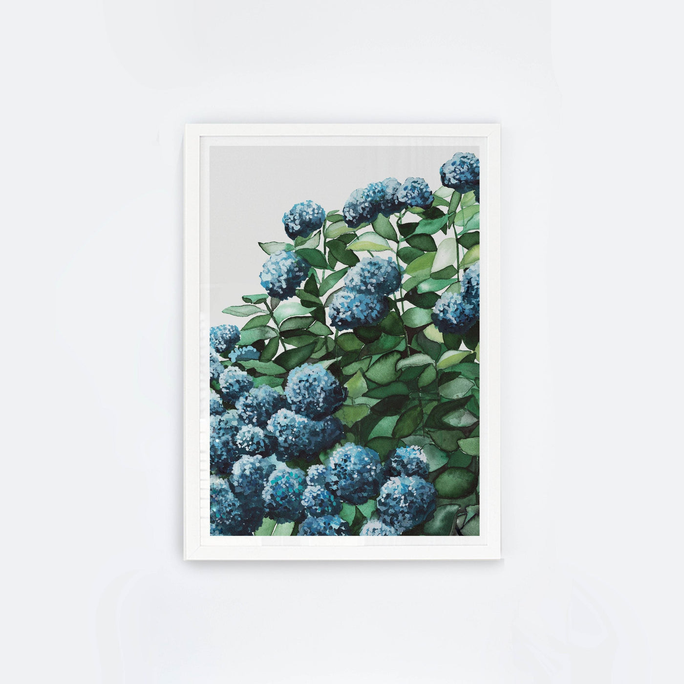 Blue Hydrangea II