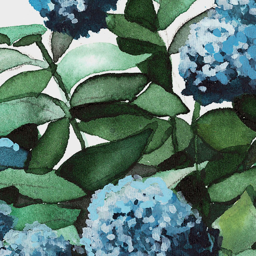 Blue Hydrangea II