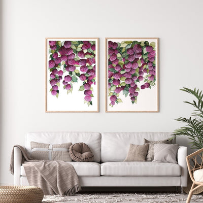 Falling Hydrangeas Pair