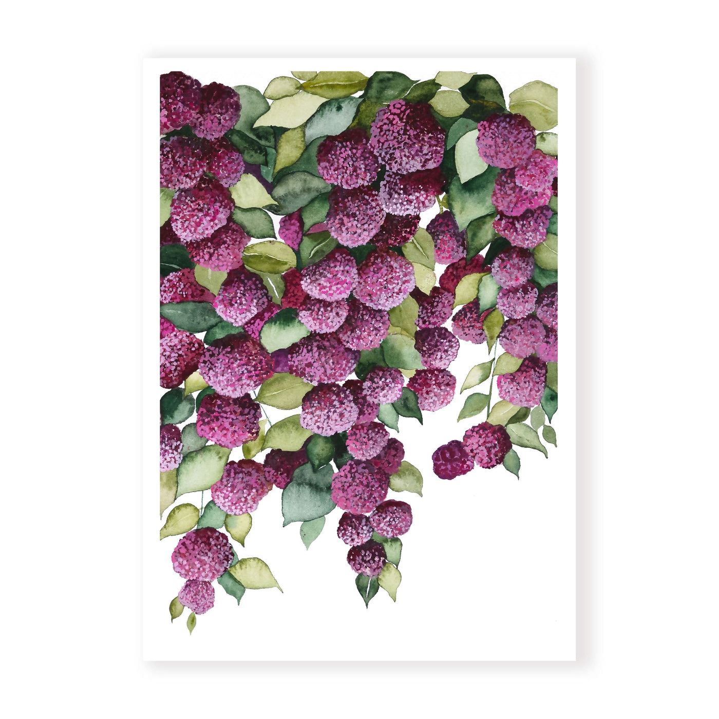 Falling Hydrangeas II