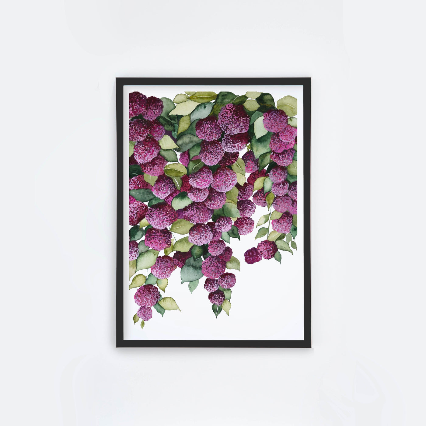 Falling Hydrangeas II