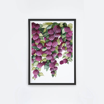 Falling Hydrangeas II