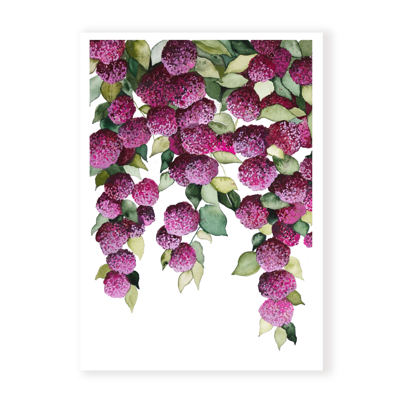 Falling Hydrangeas Pair