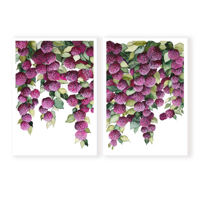 Falling Hydrangeas Pair