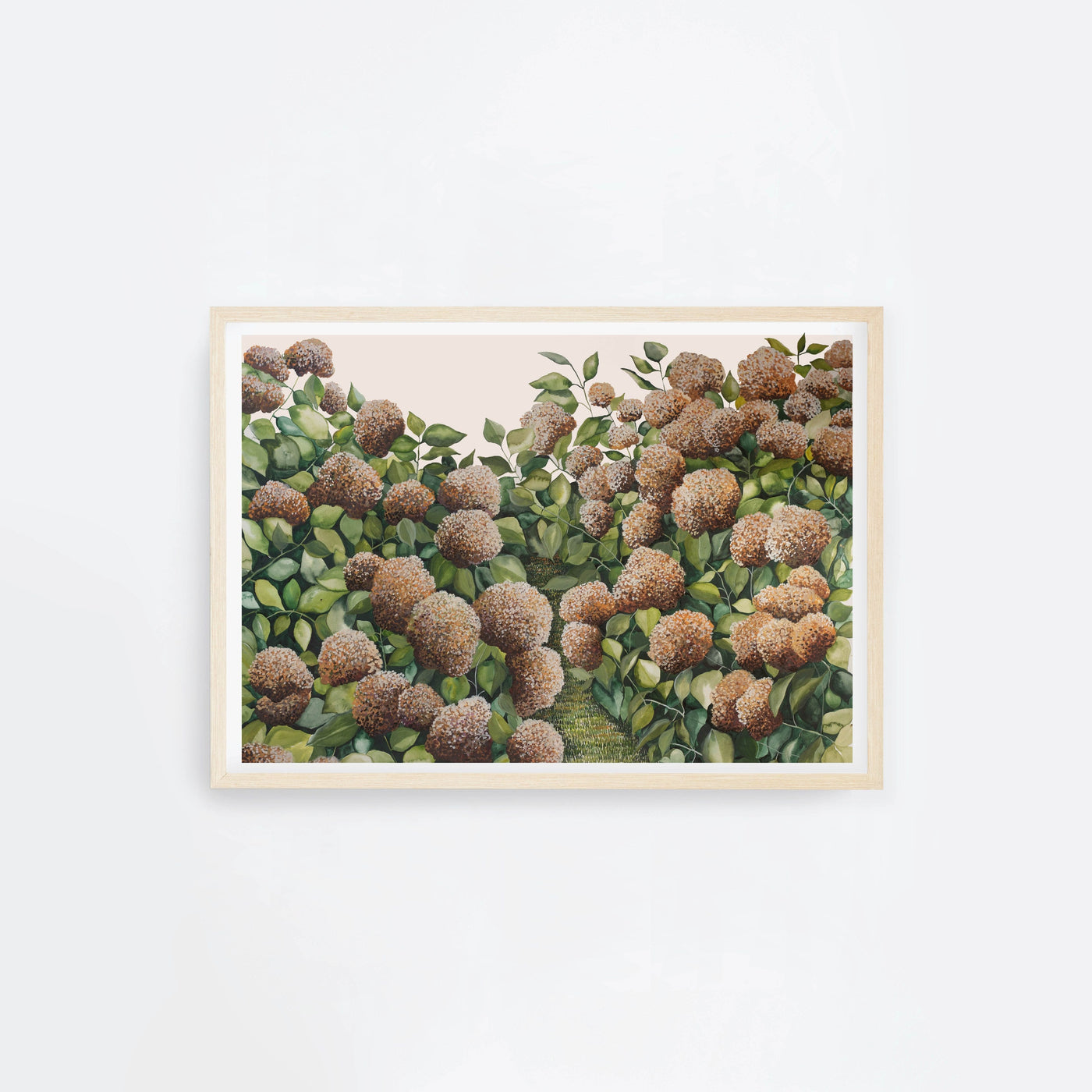 Bronze Hydrangea Landscape