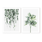 Plant Pair